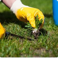 Garden maintenance