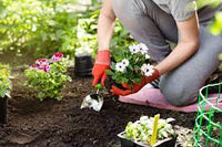 Garden maintenance