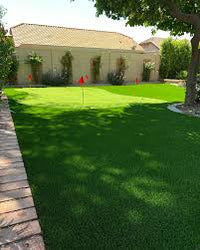 Natural & Artificial Grass