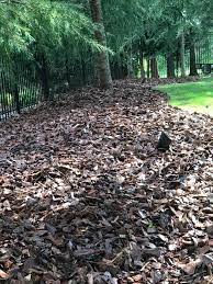 Mulching