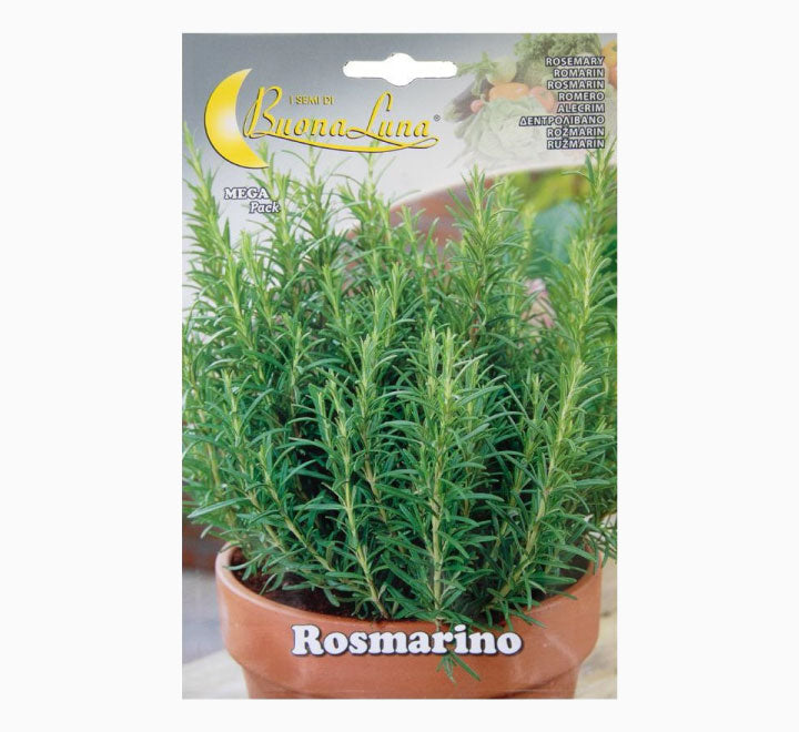 Rosmarino or Rosmary Seeds