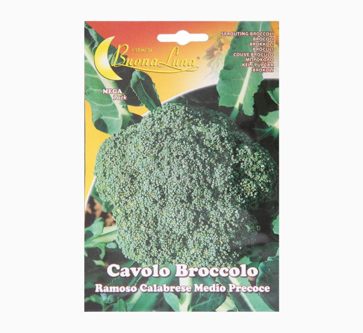 Cavolo Broccolo Ramoso Calabrese Medio precoce Mega Pack