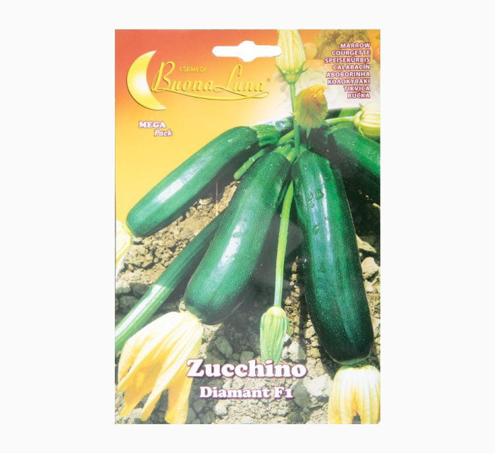 Zucchino Diamant F1 Seeds