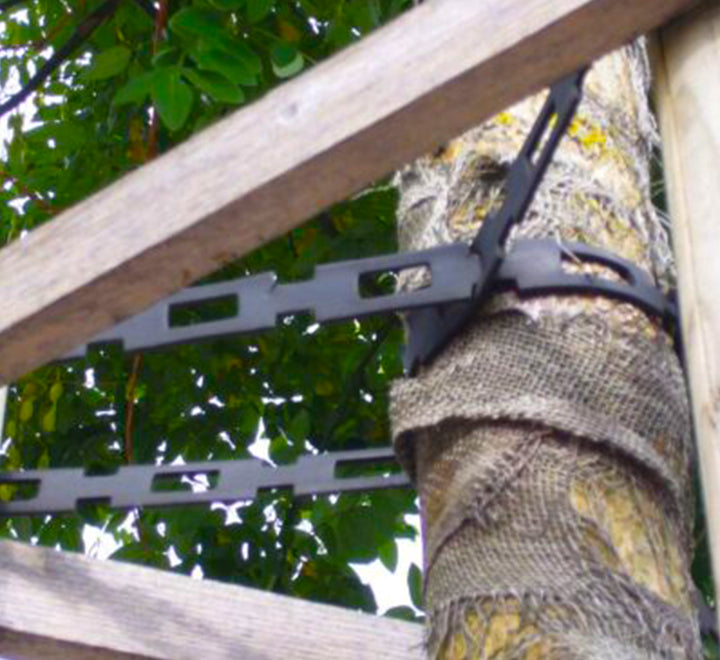 Tree plastic Chain lock