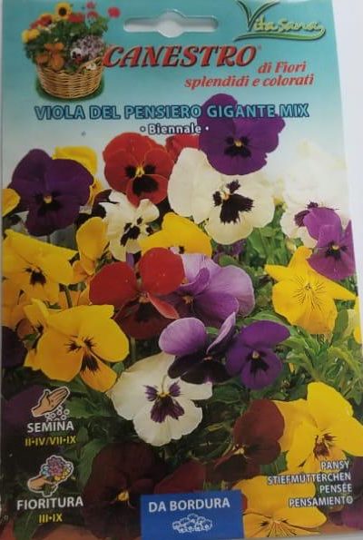 Viola Del Pensiero Gigante Mix Seeds by CANESTRO
