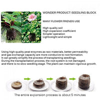 Peat Pellets or Peat Seeds Starters 3x3x1cm “Best West way To Start Seeds”